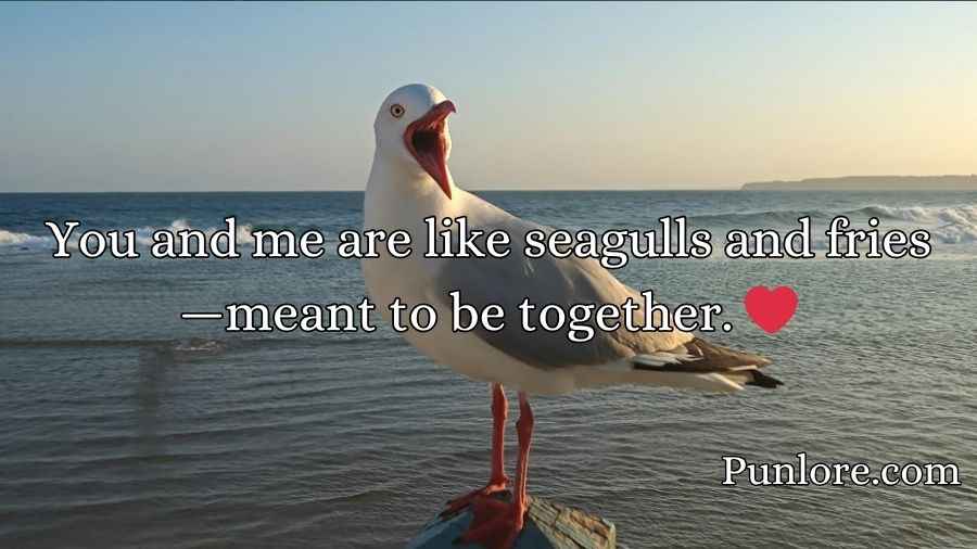 Seagull Puns
