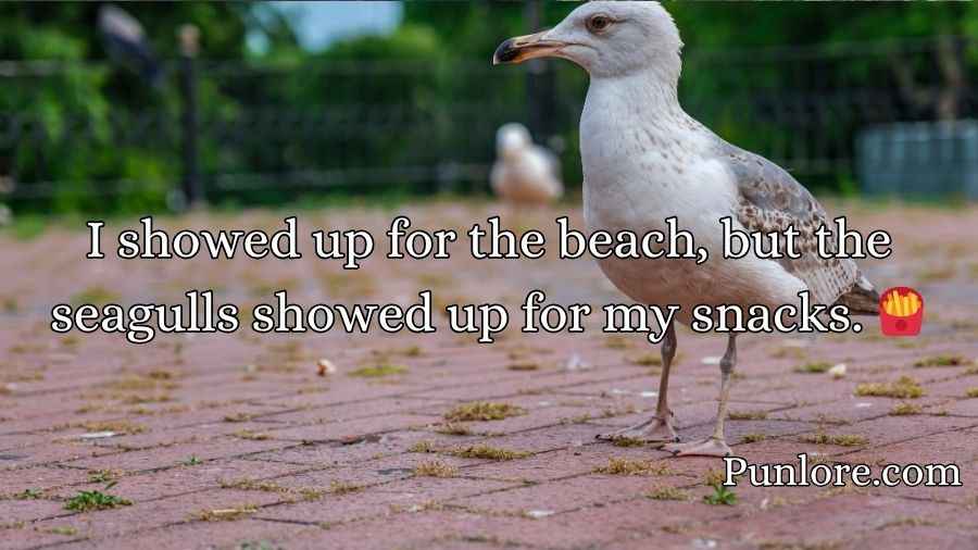 Seagull Puns