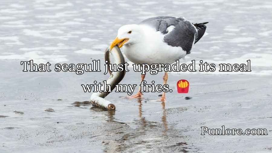 Seagull Puns
