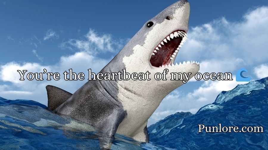 Shark Pick Up Lines