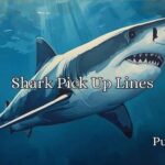 Shark Pick Up Lines