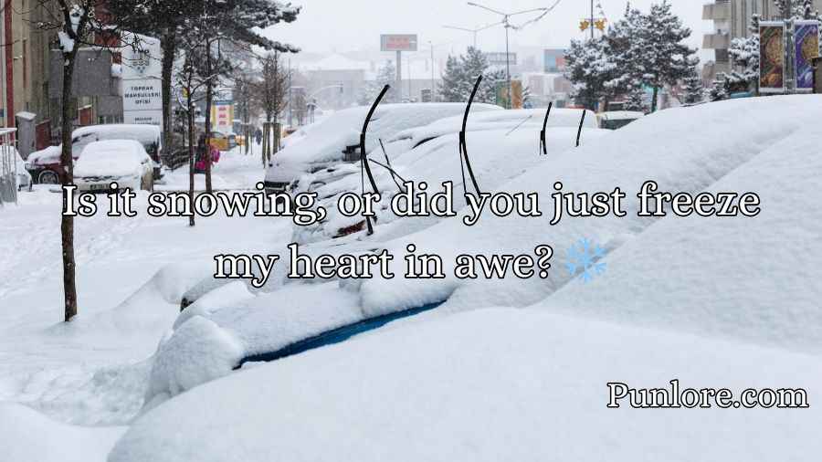 Snow Pick Up Lines