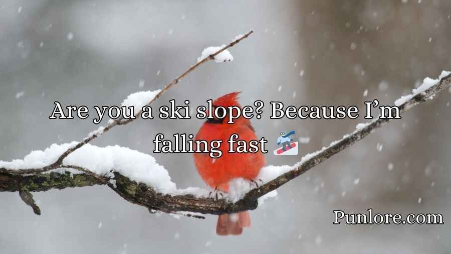 Snow Pick Up Lines