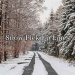 Snow Pick Up Lines