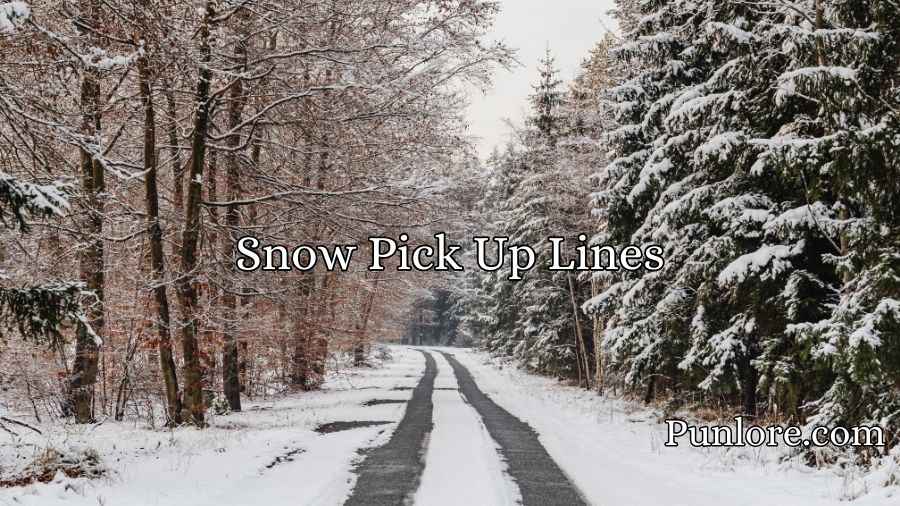 Snow Pick Up Lines