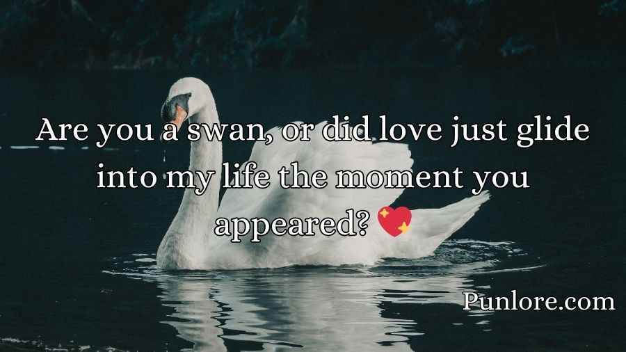 Swan Pick Up Lines