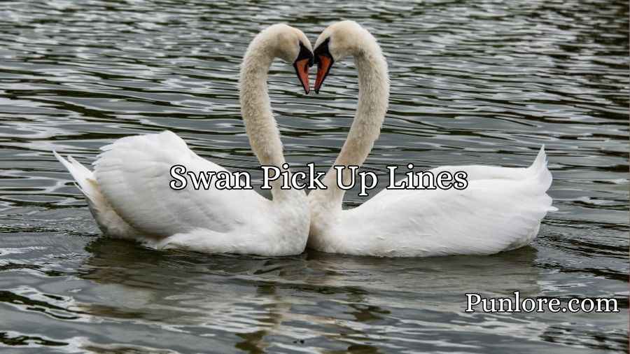  Swan Pick Up Lines