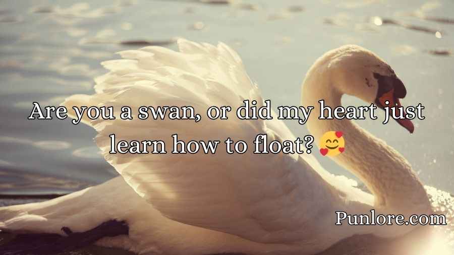 Swan Pick Up Lines