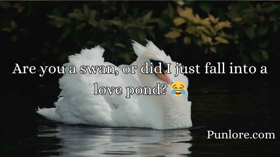 Swan Pick Up Lines