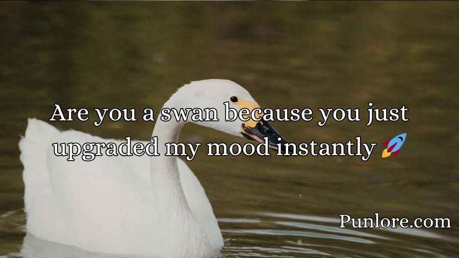 Swan Pick Up Lines