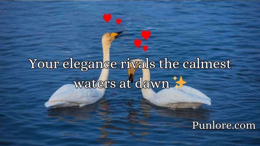Swan Pick Up Lines