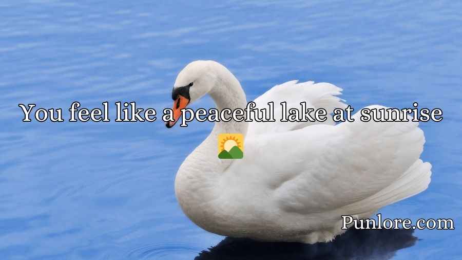 Swan Pick Up Lines