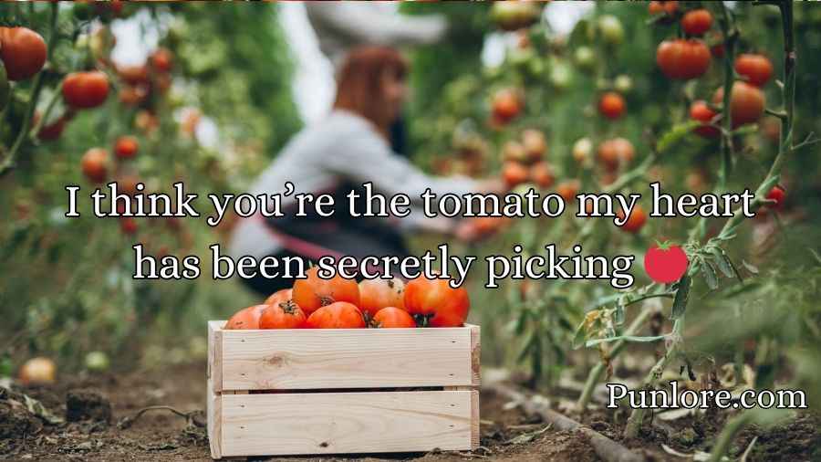 Tomato Pick Up Lines