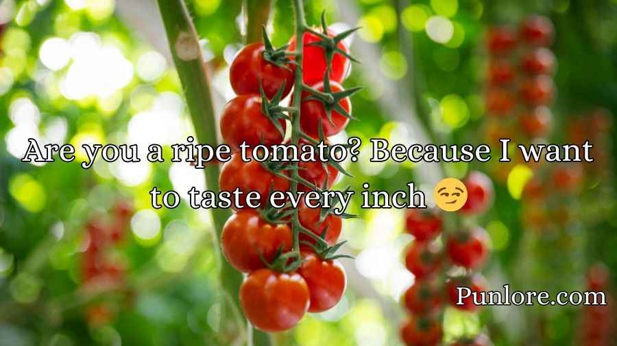 Tomato Pick Up Lines