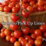 Tomato Pick Up Lines