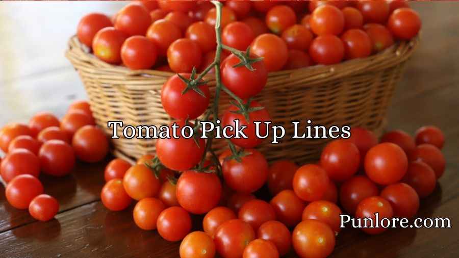 Tomato Pick Up Lines
