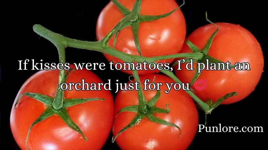 Tomato Pick Up Lines