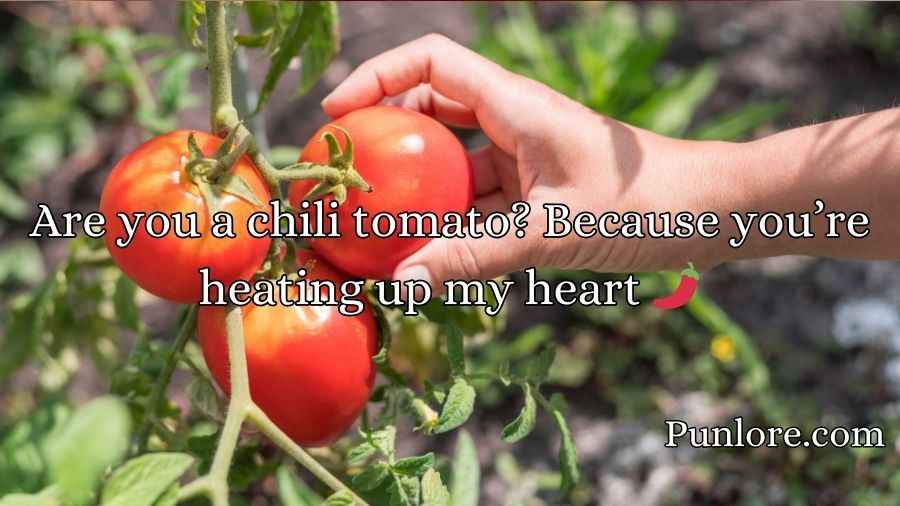 Tomato Pick Up Lines