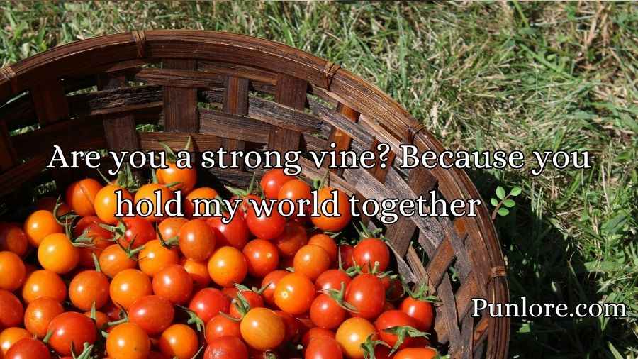 Tomato Pick Up Lines