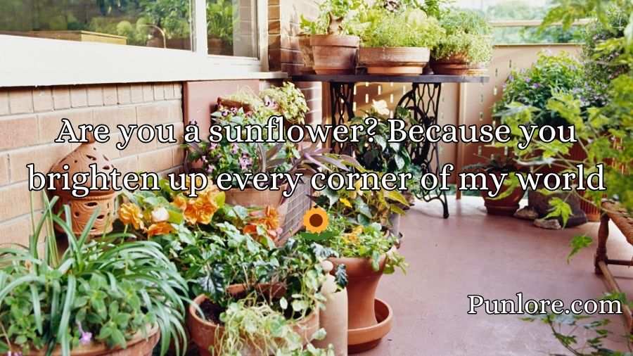 Urban Gardening Rizz Lines