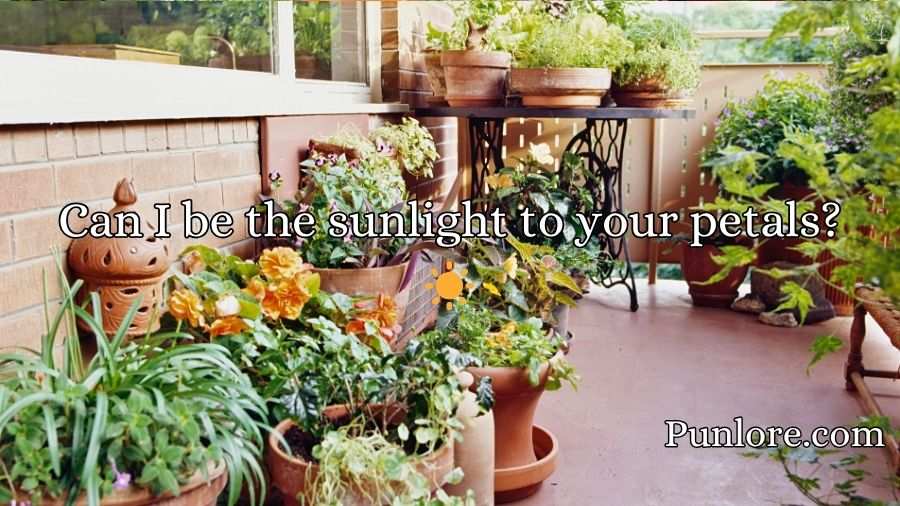 Urban Gardening Rizz Lines