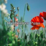 Wildflower Puns