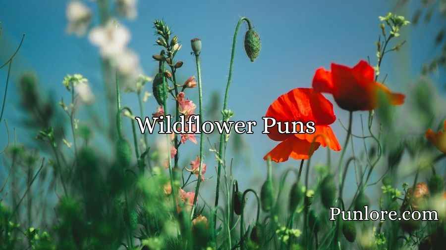  Wildflower Puns
