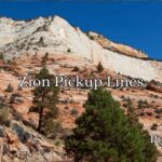 Zion Pickup Lines