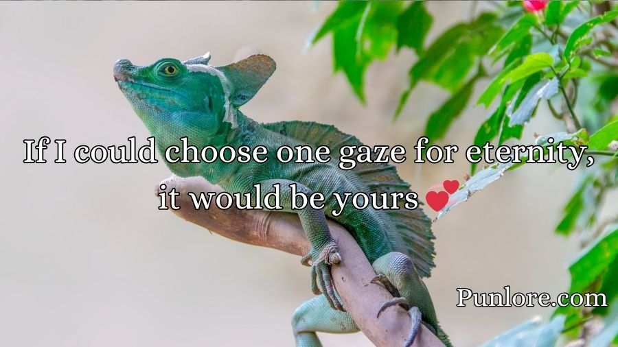 Basilisk Pick Up Lines 