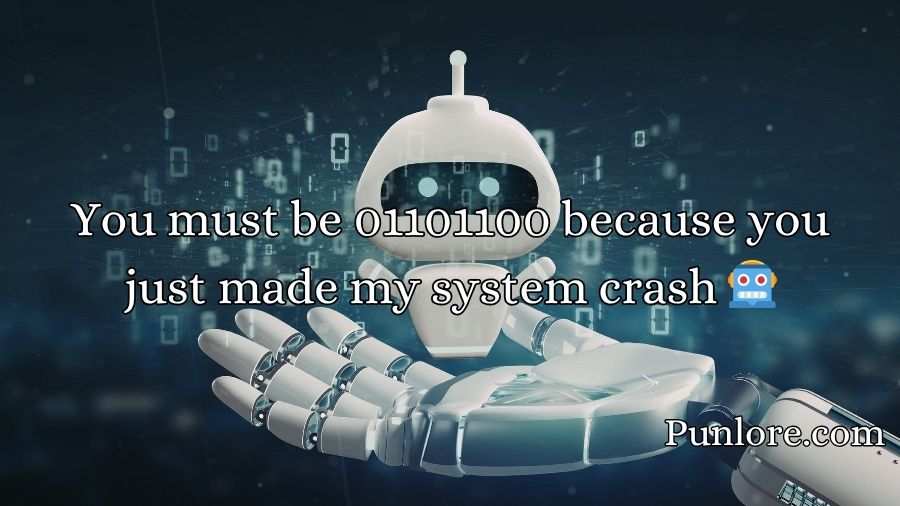 Binary Pick Up Lines