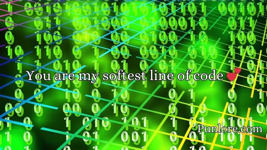 Binary Pick Up Lines