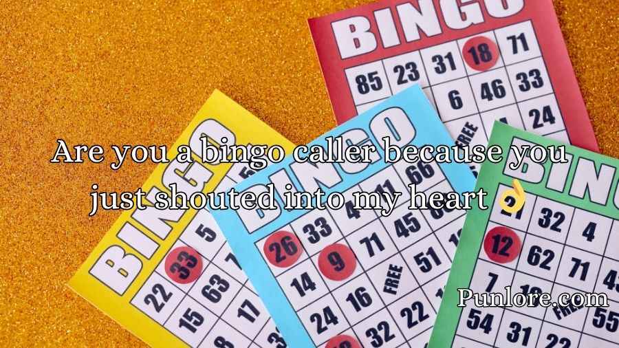 Bingo Pick Up Lines