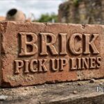 Brick Pick Up Lines