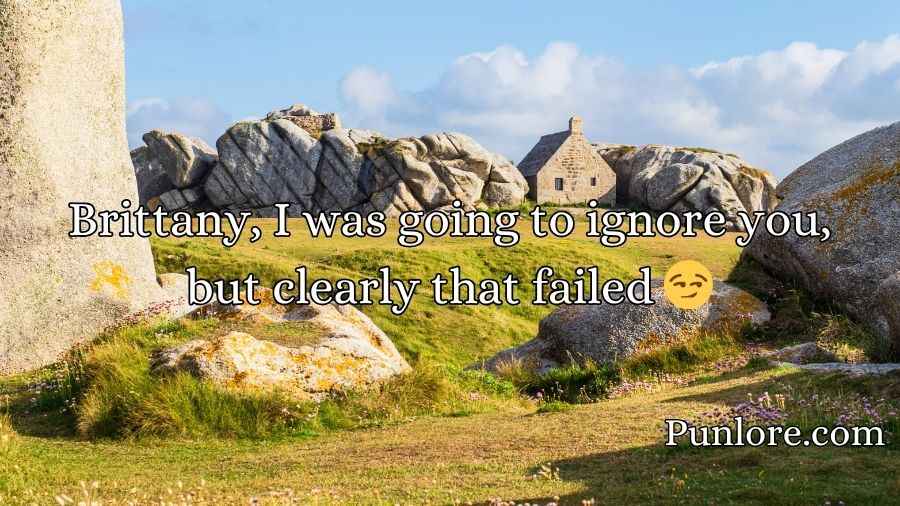 Brittany Pickup Lines