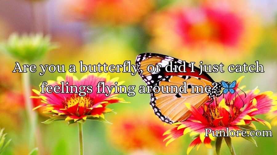 Butterfly Pickup Lines