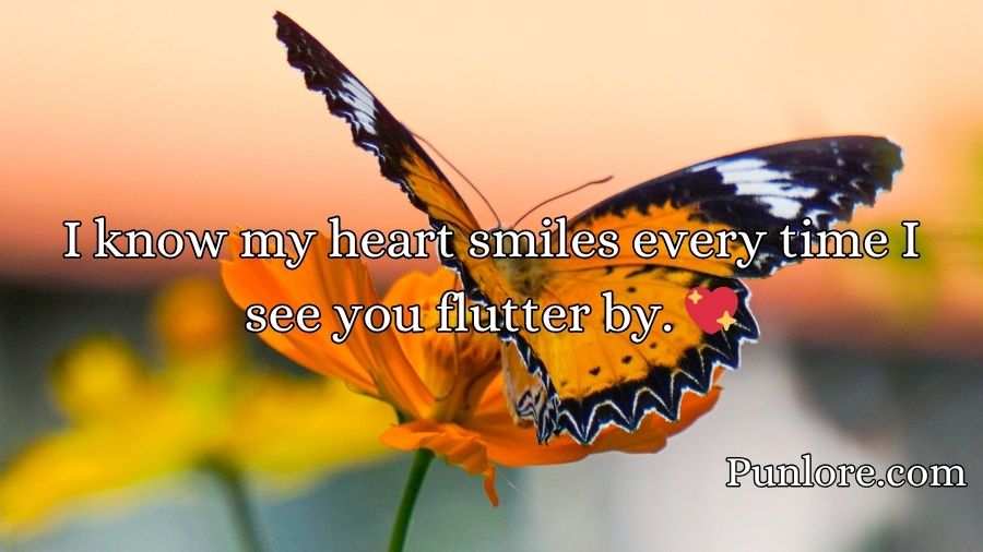 Butterfly Pickup Lines