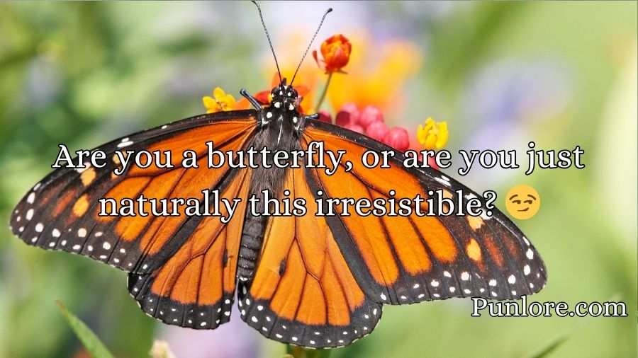 Butterfly Pickup Lines