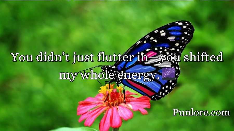 Butterfly Pickup Lines