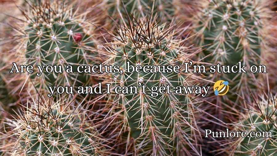 Cactus Pick Up Lines