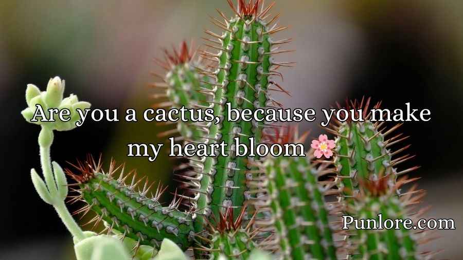 Cactus Pick Up Lines