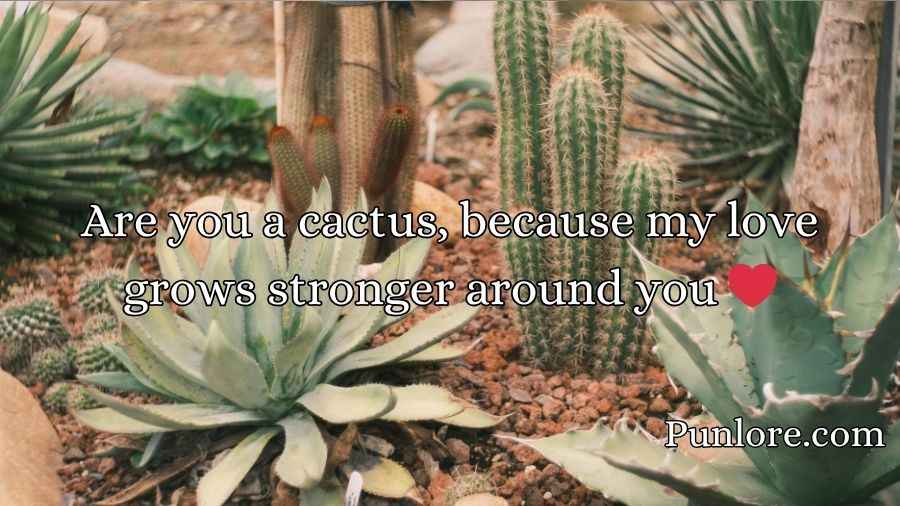 Cactus Pick Up Lines