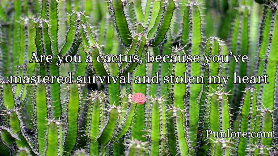Cactus Pick Up Lines