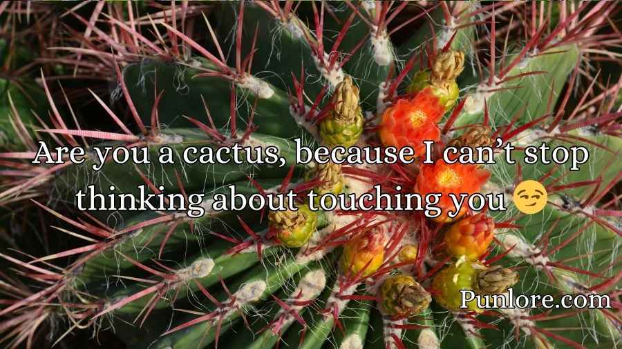 Cactus Pick Up Lines