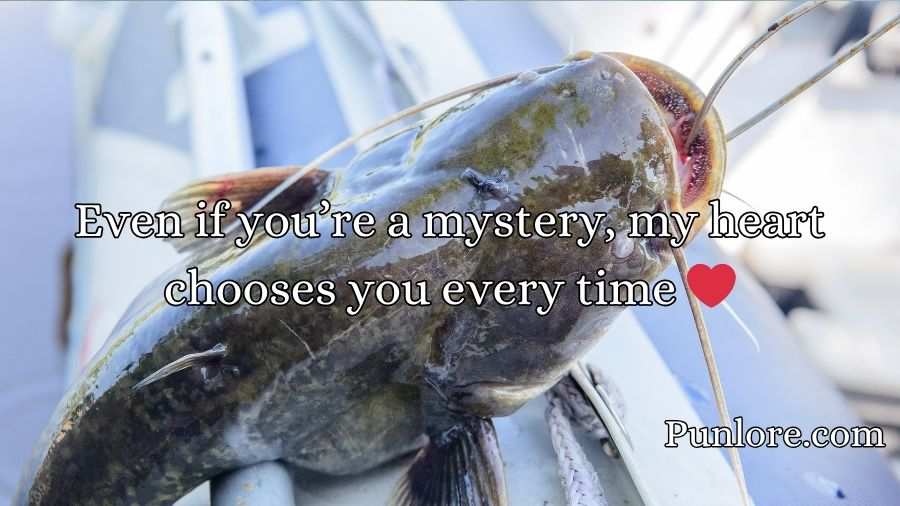 Catfish Pick Up Lines