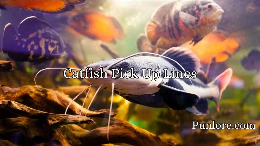 Catfish Pick Up Lines