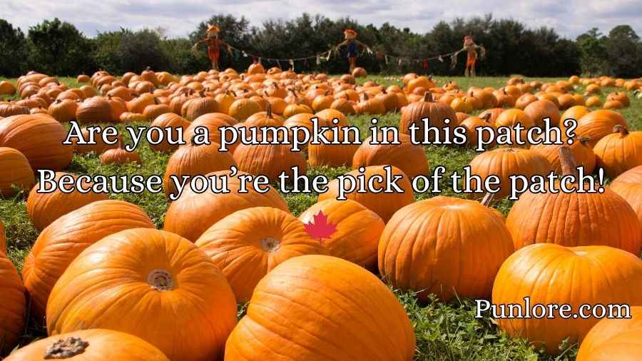 Pumpkin Pick Up Lines
