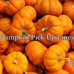 Pumpkin Pick Up Lines