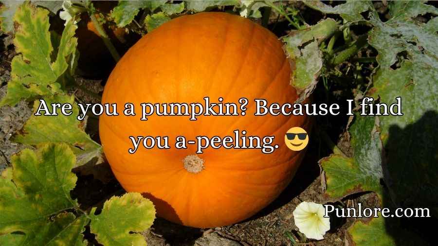 Pumpkin Pick Up Lines