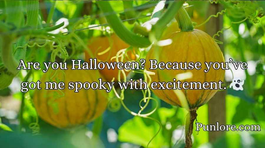 Pumpkin Pick Up Lines