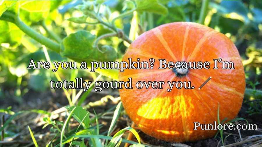 Pumpkin Pick Up Lines